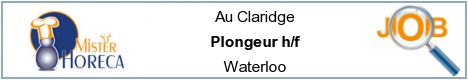 Job offers - Plongeur h/f - Waterloo