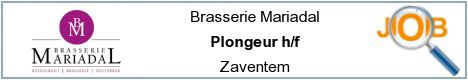 Offres d'emploi - Plongeur h/f - Zaventem