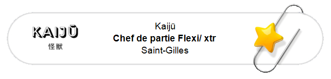 Nos annonces - Chef de partie Flexi/ xtr - Saint-Gilles