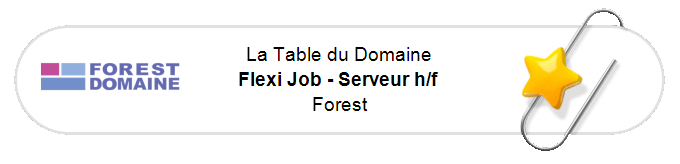 Nos annonces - Flexi Job - Serveur h/f - Forest