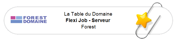 Nos annonces - Flexi Job - Serveur - Forest